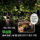 반딧불이의 기억 | 무주 가볼만한 카페 추천 '무심원' | 숲속 감성, 낮밤 연출, 반딧불이, 분위기 좋은 카페