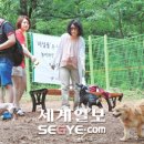 놀이터성인PC방 이미지