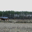 제장농장 이미지