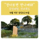 와초리 은행나무 | [10월] 쉼표가 있는 포구기행. 익산 성당포구 마을