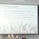 Atti(아티) 이미지