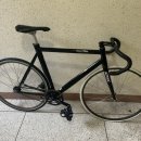 퍼피스타 이미지