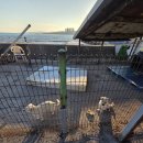 박달중학교 | 포항 구룡포 대게 맛집 속이 뻥 뚫리는 오션뷰 식당 대현수산