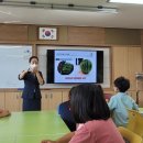 선남초등학교병설유치원 이미지