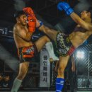 링 종합격투기 이미지