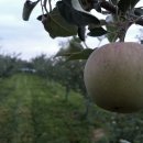 상주추어탕 이미지