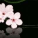 유교경전: 논어편 이미지