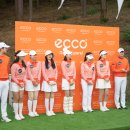 에코골프연습장 이미지