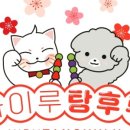제주하이루탕후루