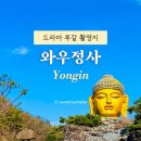 소망애견 | 용인 와우정사 뜻 카페 입장료 불상 애견동반 힐링코스 방문후기