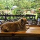 담소원펜션 이미지