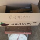 알뜰 농장 이미지