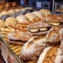 수원-1205 이미지