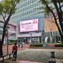 강서보건소 화장실 | 발리여행 전 필수 준비! 장티푸스 백신 맞을 곳 찾기 (마포·종로·강서 보건소 후기 25.10.13 기준)