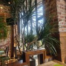 수원-1225 | 수원 천천동 감성 끝판왕 ☕️ 성균관대 근처 투바이투 카페 후기