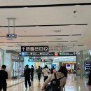 오키나와 3박4일 일정 총정리 🐳 | 청주공항 출발, 아기랑 함께한 대가족 여행