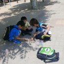 대창초등학교 이미지