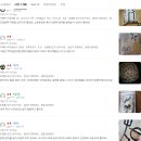 현미농장 | 2025년 소화농장 현미 2kg 5kg 햅쌀 솔직 후기