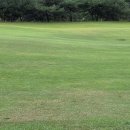 보은골프장 | [골프장 도장 찍기 26] 속리산cc/ 충북 보은 골프장, 거리를 잘 맞춰 페어웨이 공략 필수!