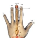 손의 지압 이미지