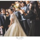 제주도 서귀포 애플 컨벤션 웨딩홀에서 진행한 본식 스냅 촬영 후기