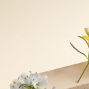 하이연세산부인과의원 이미지