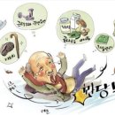 낙상 네이버블로그
