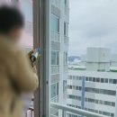 진주유리