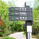 지리산 종주(천왕봉-중산리 야영장) 이미지