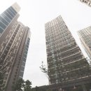 탑플레이스배곧 네이버블로그