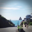 멍멍데잇 이미지