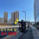 새솔 검도교실 이미지