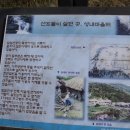 전봉준로 Daum카페