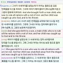 타이세븐 Daum카페