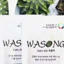 강원도와송 이미지