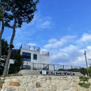 포레스트258 펜션 | 경주애견동반펜션 불국사 근처 독채 풀빌라 포레스트258