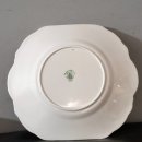 도그 블라썸 이미지