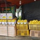 승일농장 이미지