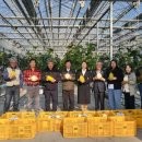 창녕군농업기술센터 이미지