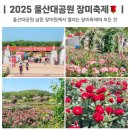 갈티못 | 울산대공원 장미축제 가수 라인업, 주차, 일정 2025 최신 정보