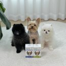 주식회사 엘림 | 강아지 유산균 추천 우리집막둥이 변비 설사 묽은변 탈출 애견 영양제