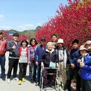 쌍둥이네미꾸라지탕 이미지