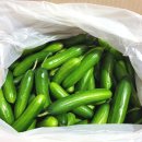 우성2농장 이미지