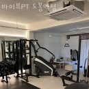 바이브PT