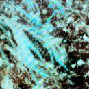 꽃피우개 이미지