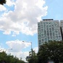 노이타 보니 이미지