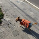 물맑은양평볼링센터 | 일상털기 업둥이산책 물맑은양평종합운동장 볼링장 양평맛집 부뚜막