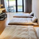 코스모스민박 | 울릉도 코스모스 리조트 숙소 예약, 가격은?