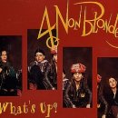 What's up / 4 Non Blondes 이미지