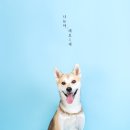 찌꼬찌꼬스튜디오 이미지